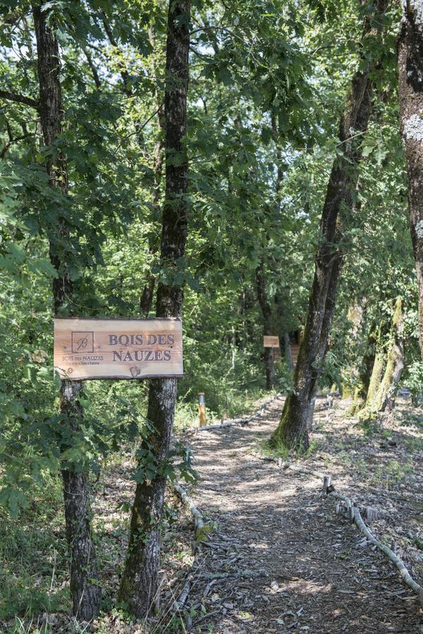 Bois Des Nauzes Villa Seyches Eksteriør bilde